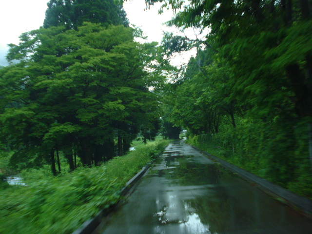 c0119891_8335695.jpg