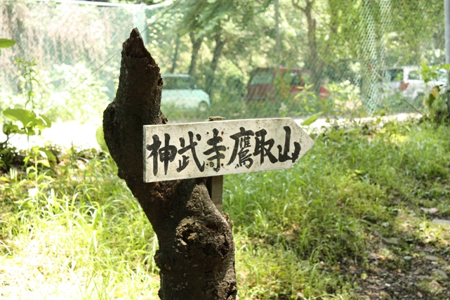 f0218002_8219.jpg