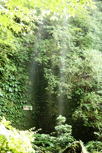 f0218002_8261912.jpg