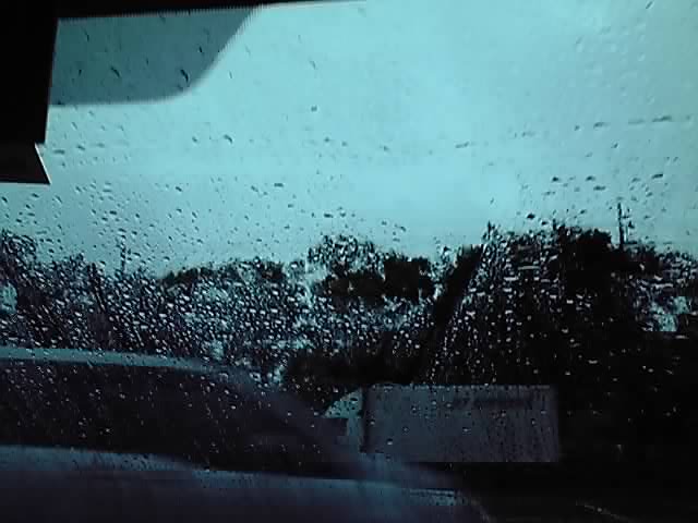 e0207504_58115.jpg