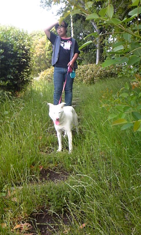 犬を飼う、ということ - その2_a0033505_185717100.jpg