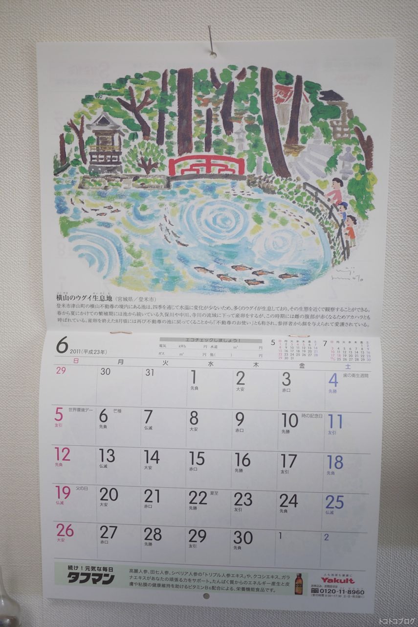 ヤクルトカレンダー11年6月 トコトコブログ