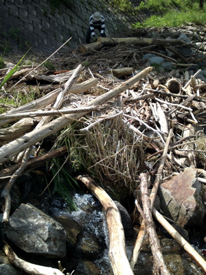 f0135908_66716.jpg