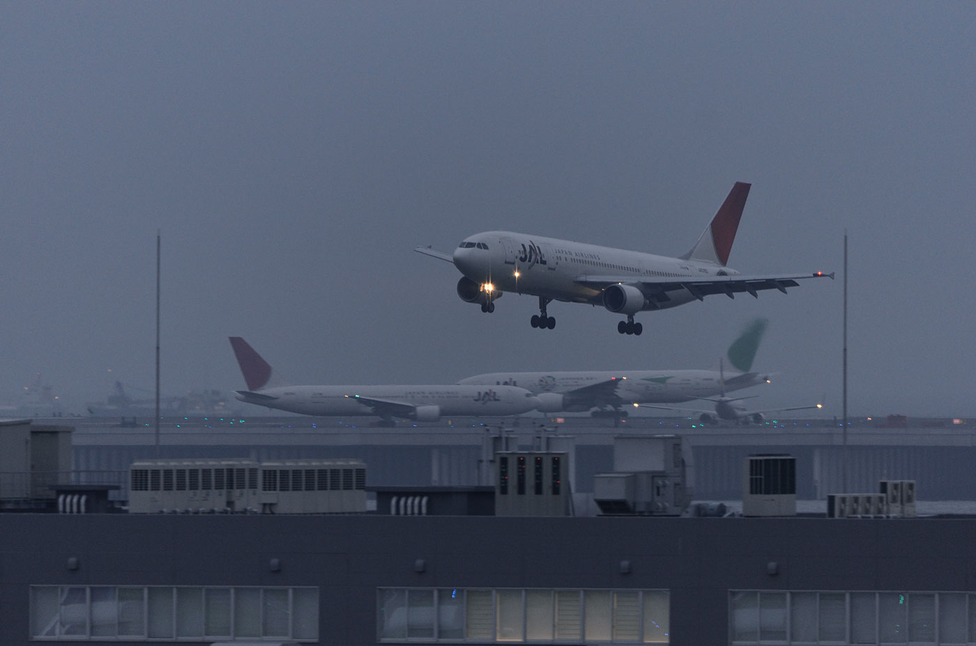 1/200 A300-600R JAL アーク塗装 JA016D ［BJQ1032］ ホーガン