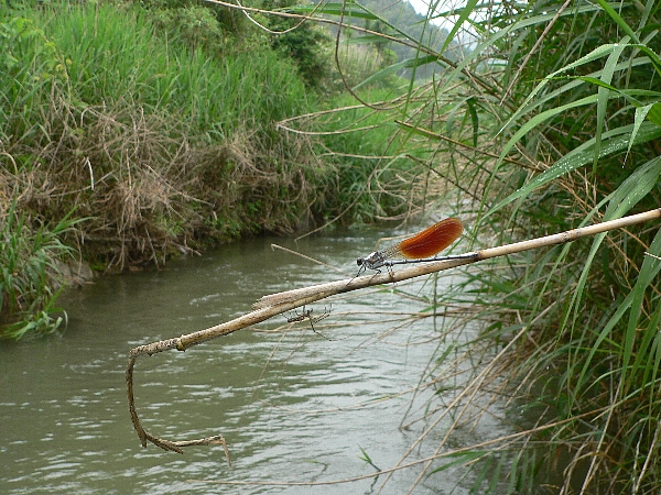 e0002314_1953382.jpg