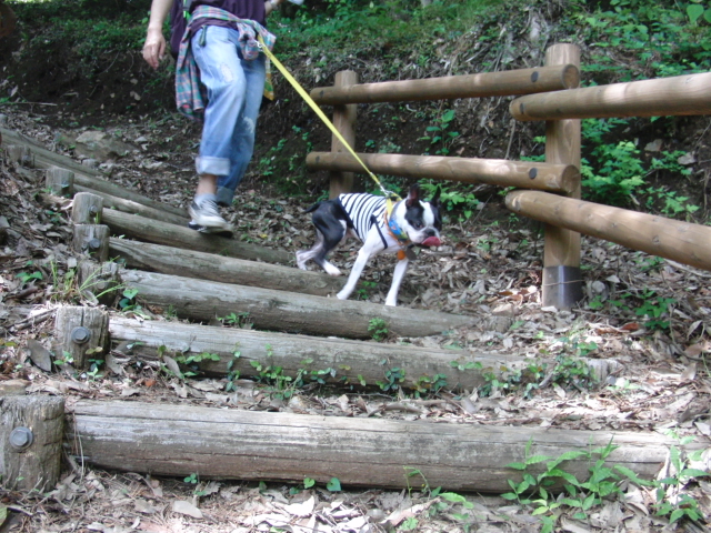 c0220715_2372243.jpg