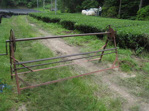 下山にて　２_b0220318_2258661.jpg