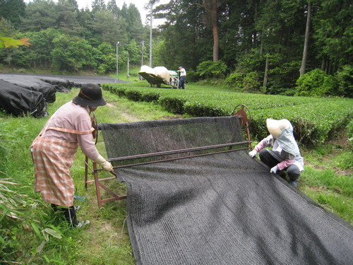 下山にて　２_b0220318_2372780.jpg