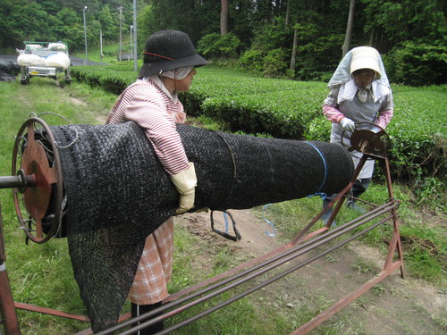 下山にて　２_b0220318_239418.jpg