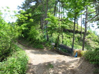 f0177521_10902.jpg