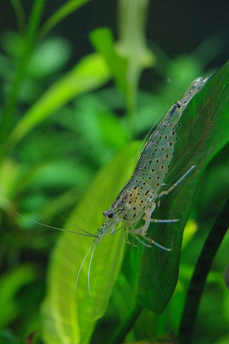d0004922_16543615.jpg