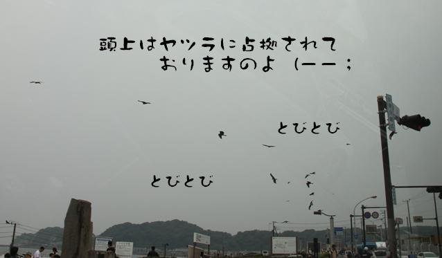 b0209623_17122171.jpg