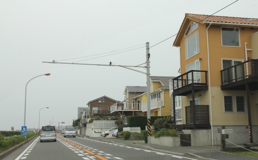 b0209623_1745545.jpg