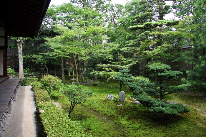 両足院（建仁寺塔頭） －半夏生の庭園特別拝観（後編）－_b0169330_16252247.jpg