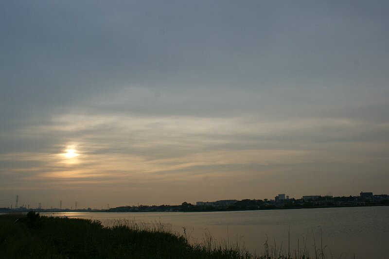 a0122932_7313447.jpg