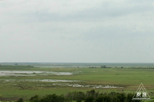 106 Bolivar Peninsula ~ペリカンだらけ~_c0211532_21175730.jpg