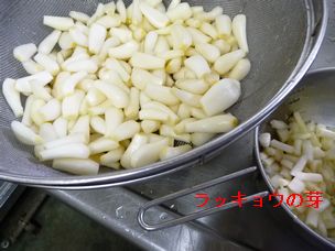 f0194533_15431397.jpg