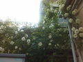 c0216434_19195475.jpg