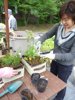 2011年第一回園芸教室「寄せ植えは小さな庭造り」_b0133243_2012468.jpg