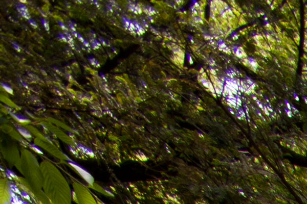 b0229648_11583990.jpg