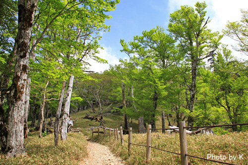 c0127748_1912544.jpg