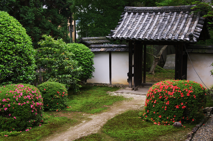 梅雨空の隨心院_f0155048_010295.jpg