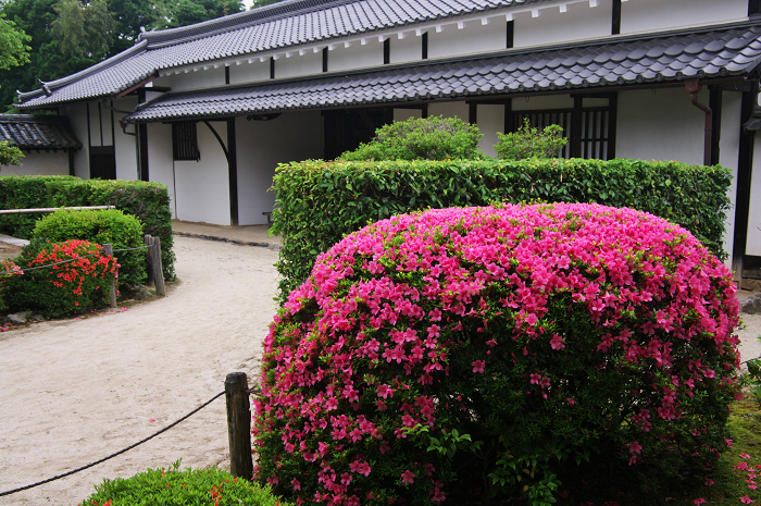 梅雨空の隨心院_f0155048_012199.jpg