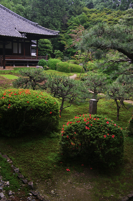 梅雨空の隨心院_f0155048_0124948.jpg