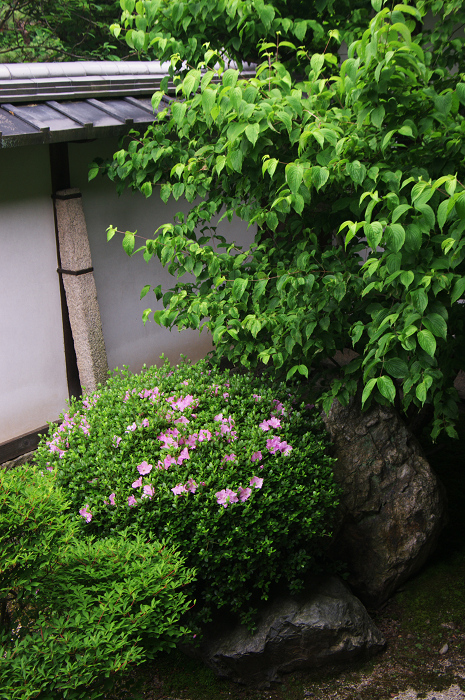 梅雨空の隨心院_f0155048_012553.jpg