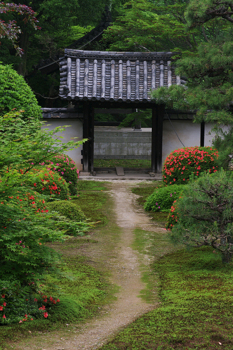 梅雨空の隨心院_f0155048_0125751.jpg