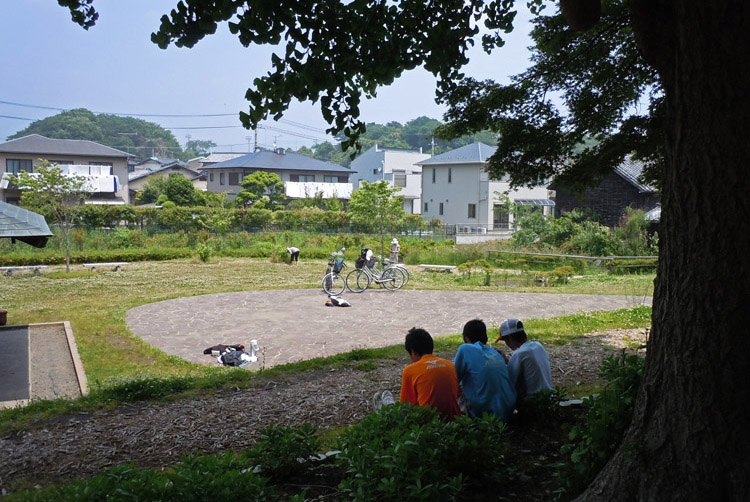 梅雨の晴れ間_f0089349_15544775.jpg