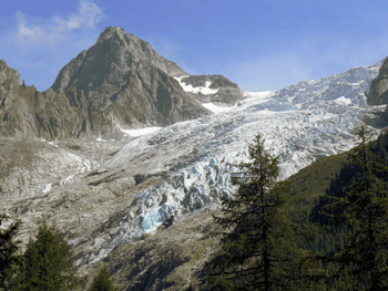 a0044453_1815310.gif
