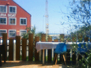 e0168259_13251537.gif