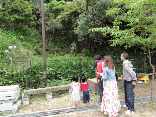 c0108460_1744278.jpg