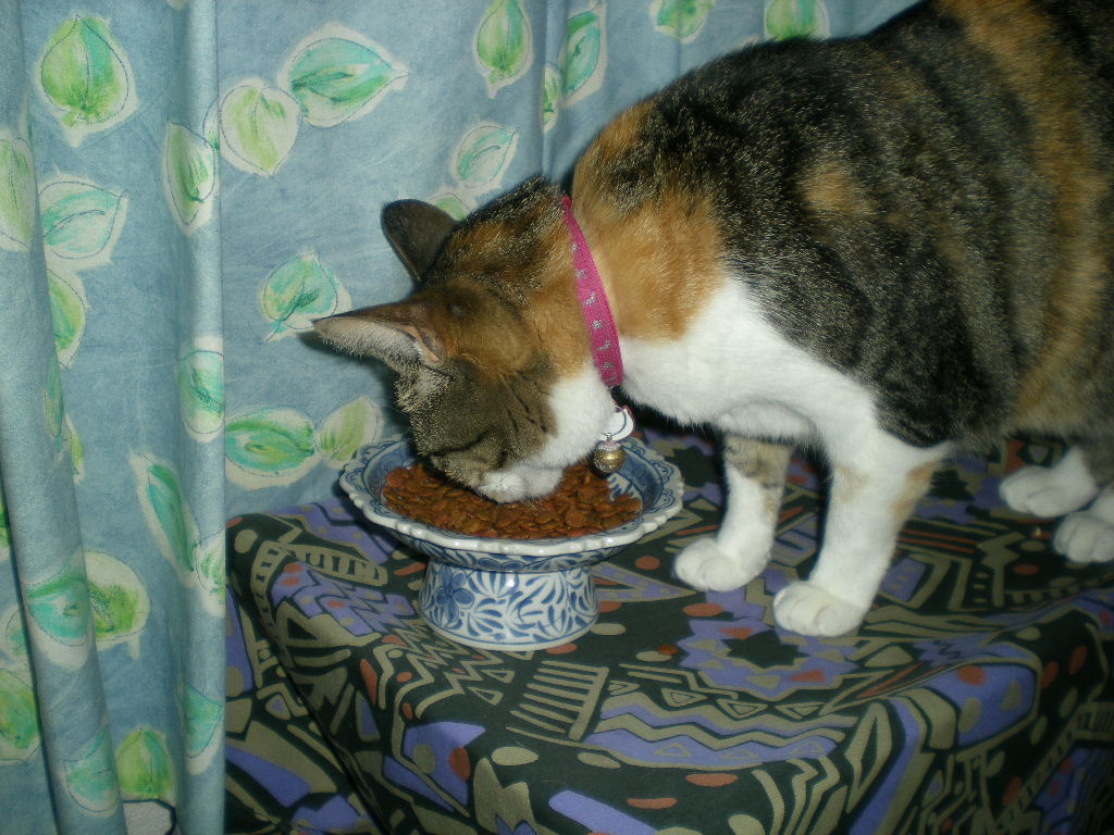 2011年6月5日(日)イギリス旅行の準備!_f0060461_11343210.jpg
