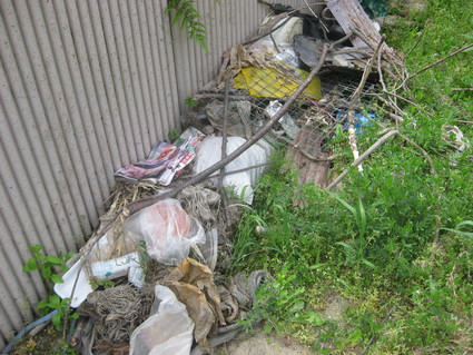 企画「大田原をもっと知ろう!」・・・その6、新富町①。_b0063162_20155035.jpg