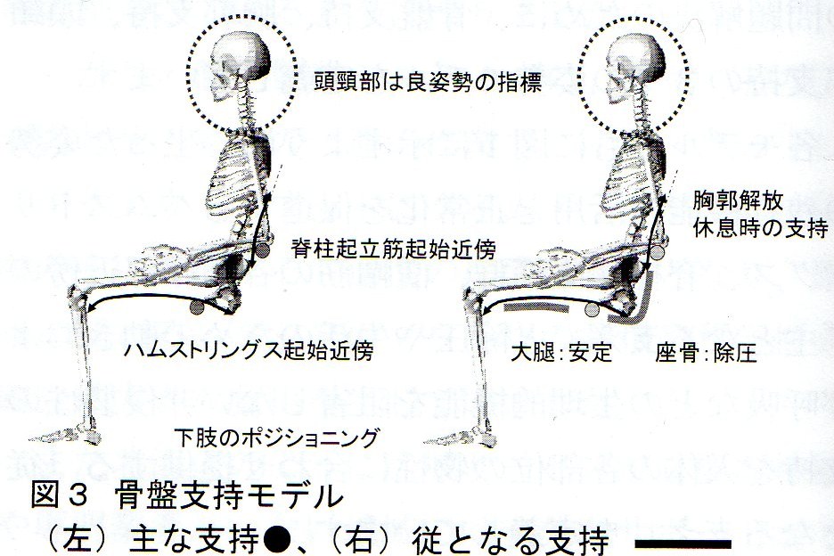 アクティブバランスシーティング(Active Balance Seating : ABS)について_c0188865_1205822.jpg