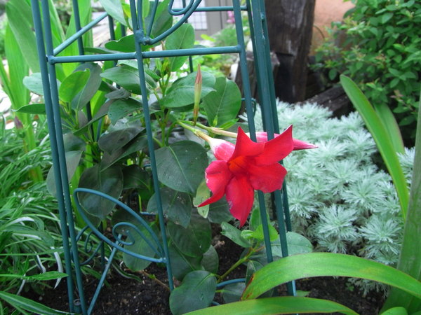 b0194267_20122047.jpg