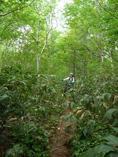 b0176770_2023616.jpg