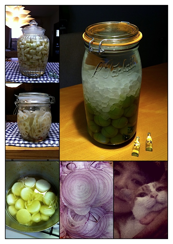 野菜_e0158970_12121144.jpg