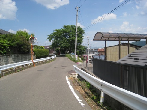 a0087378_4273685.jpg