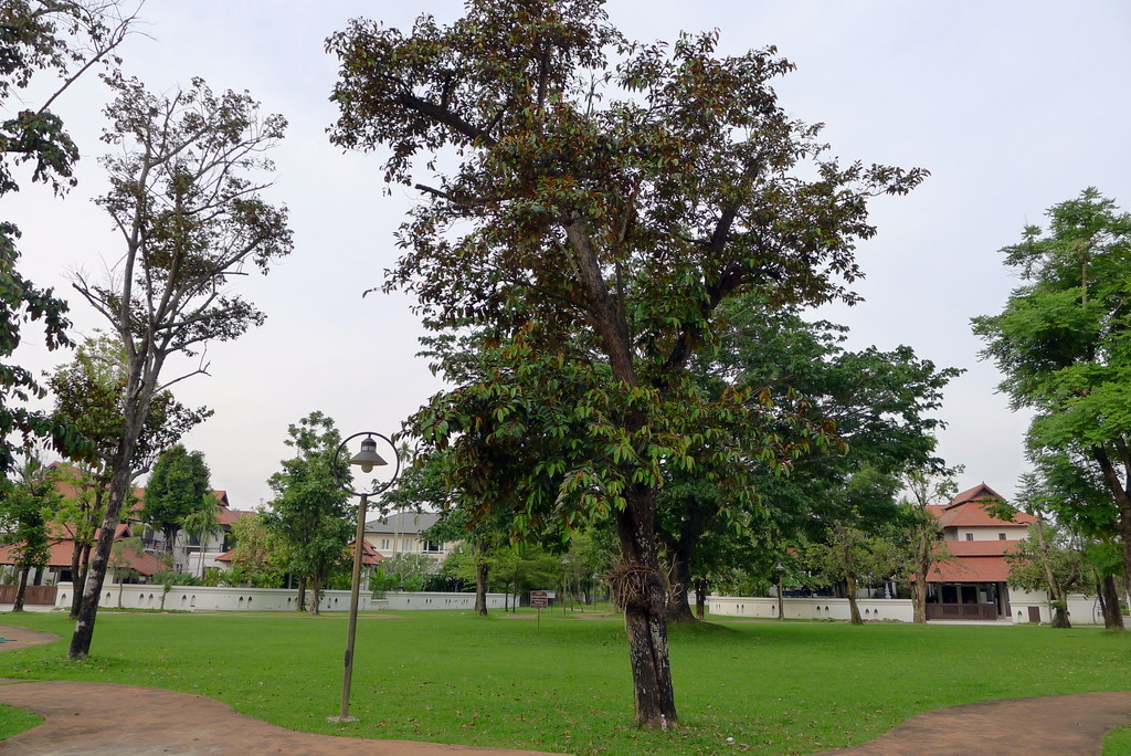 f0178278_8174090.jpg