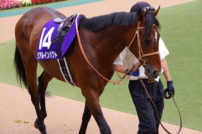 安田記念は史上初３歳馬の衝撃の勝利！リアルインパクトが制す_b0015386_23433990.jpg