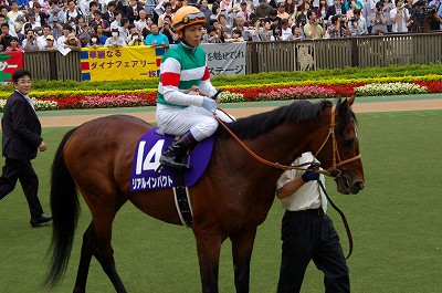 安田記念は史上初３歳馬の衝撃の勝利！リアルインパクトが制す_b0015386_2344363.jpg