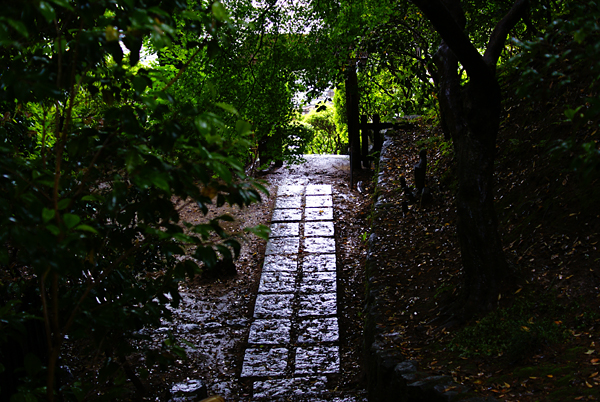 【　當麻寺　護念院の双塔園にて　】_d0044588_20522278.jpg