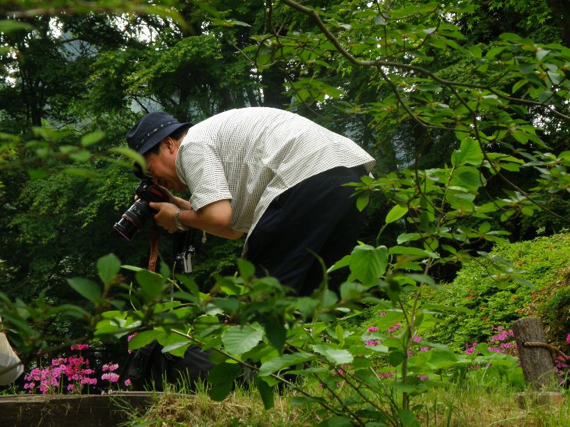 2011/06/04　またまたの高山植物園　ガスのち曇り地上は晴　５名＋１名_c0134193_10122814.jpg