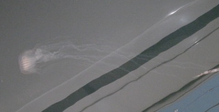 f0166694_21155672.jpg