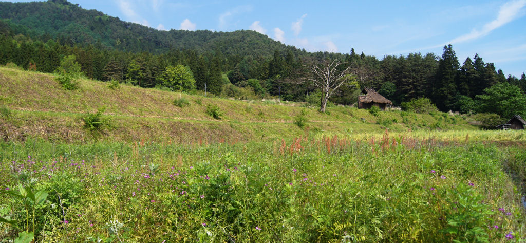 b0078795_5262644.jpg