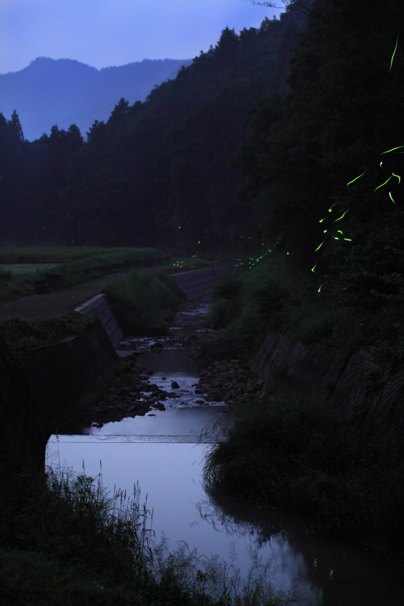d0200900_2332531.jpg