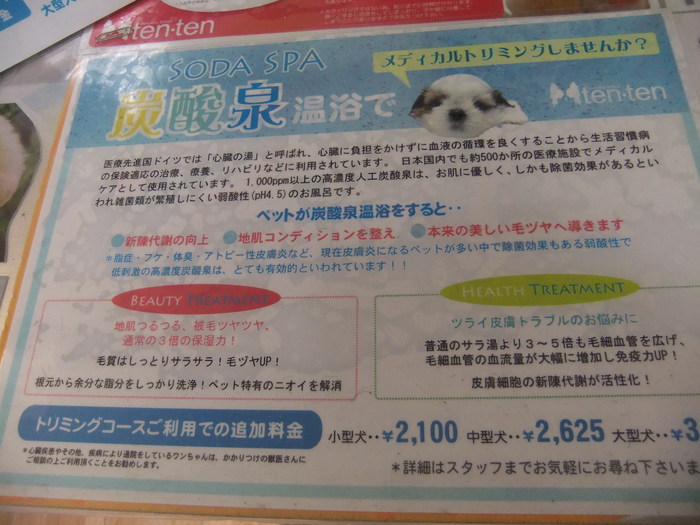 クララ トリミングへ!_c0226202_139720.jpg